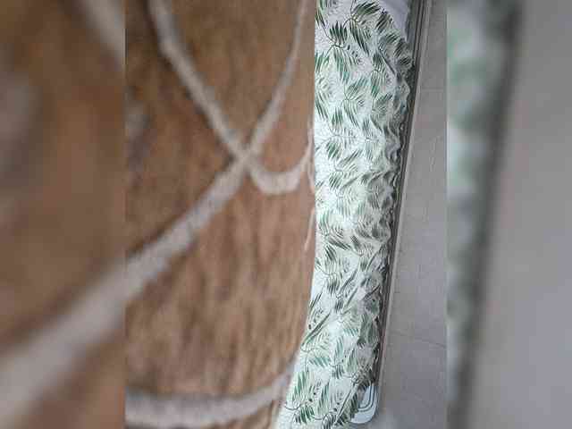MangoOyess1 webcam
