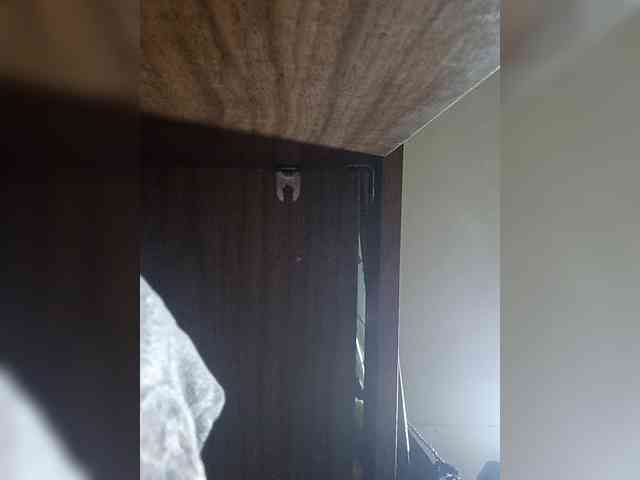 MangoOyess1 webcam