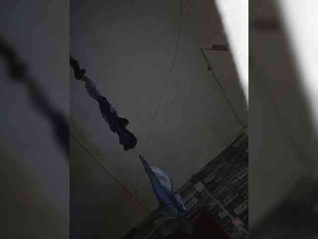 MangoOyess1 webcam