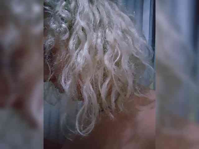 Markiza_Angelov webcam