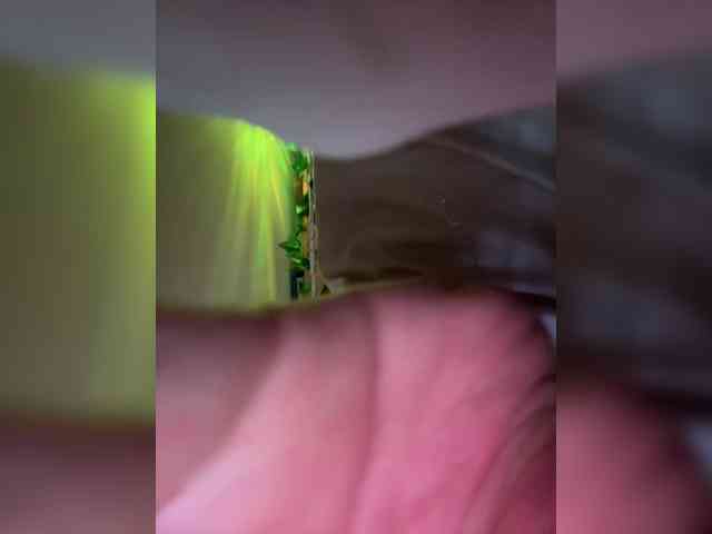 Fantazyorka00 webcam