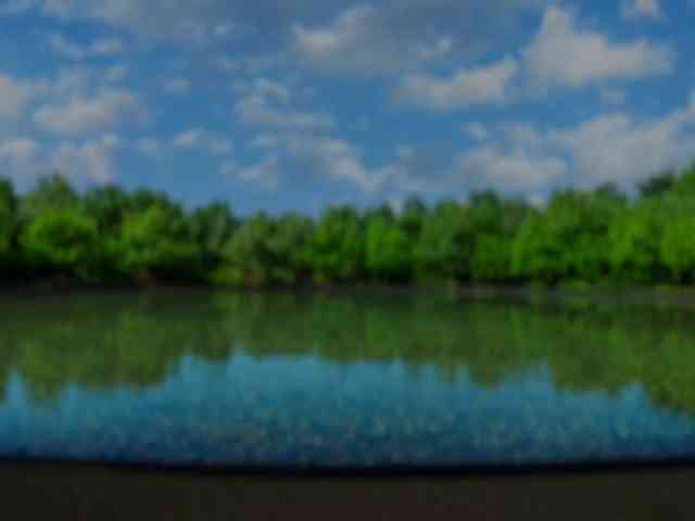 Fantazyorka00 webcam