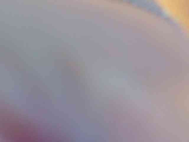 anna-nobel webcam