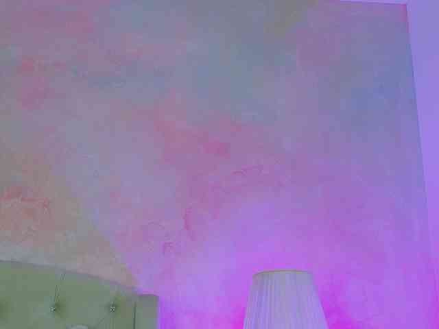 anna-nobel webcam