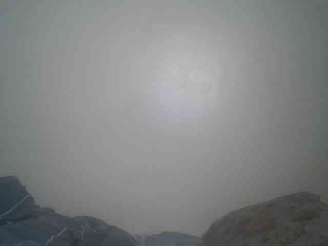 DaisyafterDark_ webcam