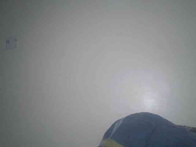 DaisyafterDark_ webcam