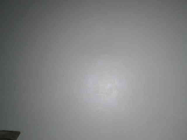DaisyafterDark_ webcam
