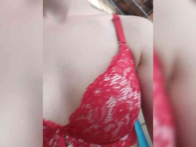 Kissa8 webcam