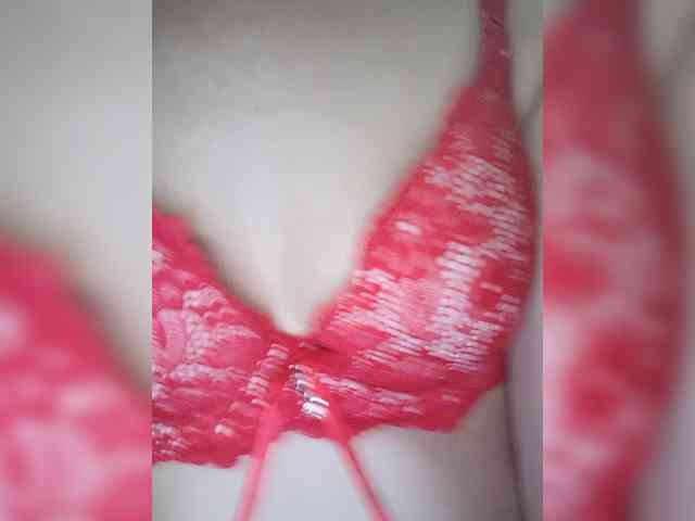 Kissa8 webcam