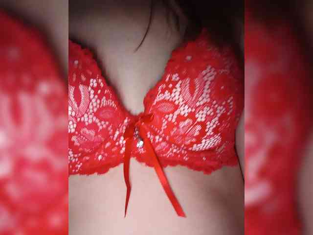 Kissa8 webcam
