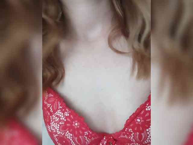 Kissa8 webcam