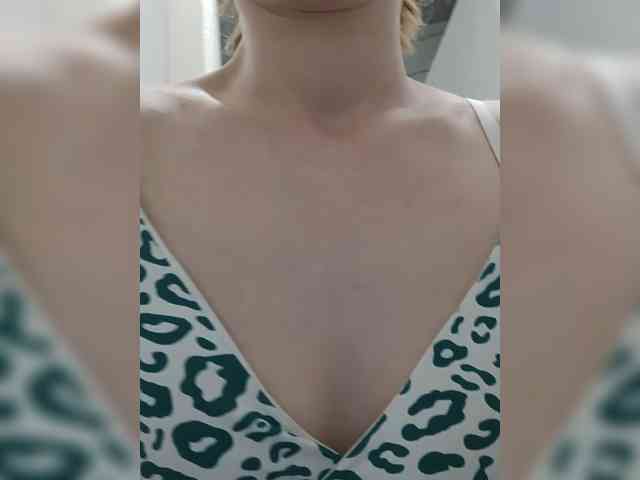 Kissa8 webcam