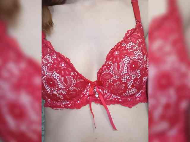 Kissa8 webcam