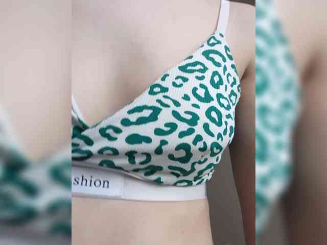 Kissa8 webcam