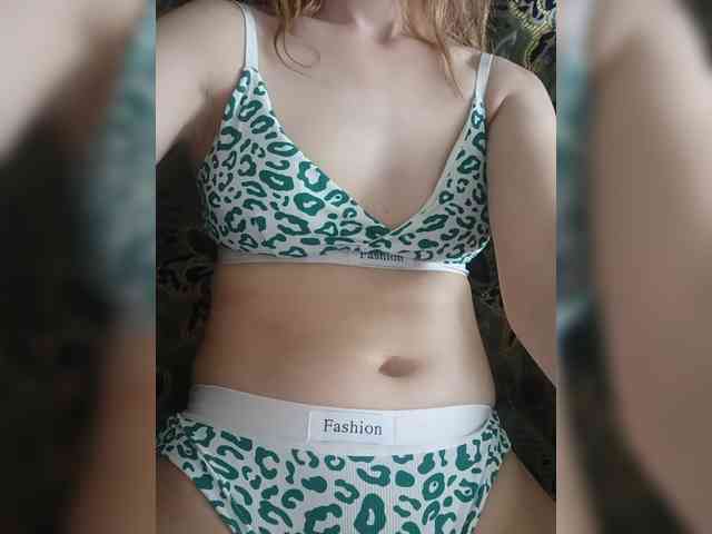 Kissa8 webcam