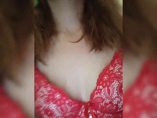 Kissa8 webcam