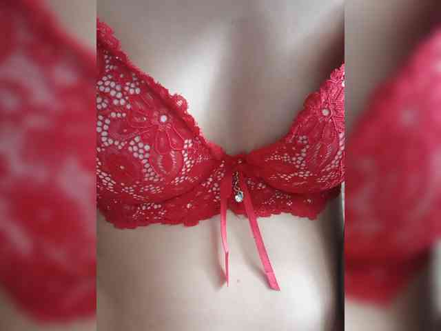 Kissa8 webcam
