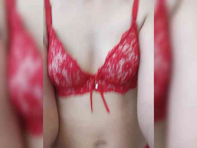 Kissa8 webcam