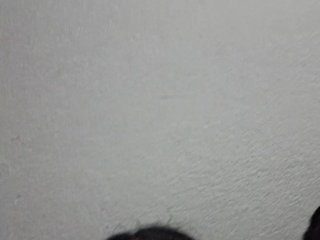 Saritaandmiguel
