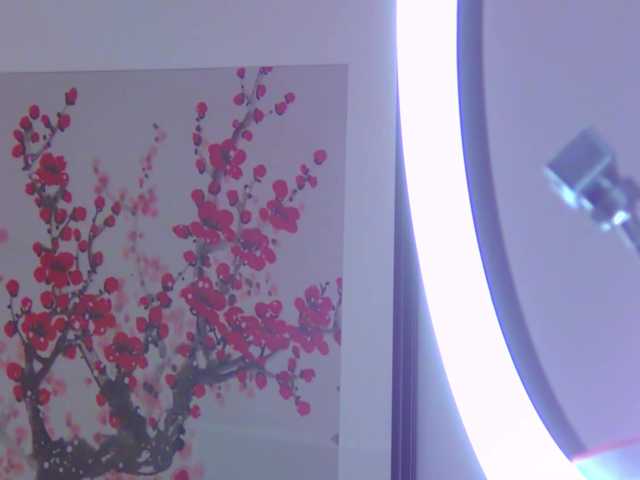 TessaBloom live cam on BongaCams