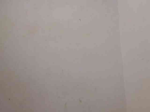 Wetpussieyy webcam