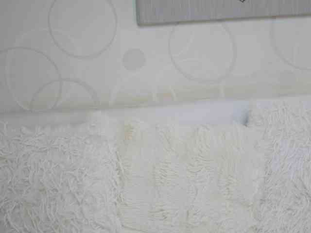 MonaPinky webcam