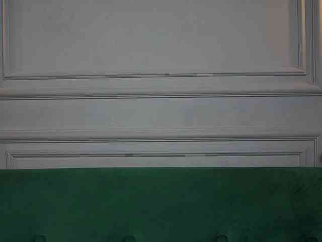 MonaPinky webcam