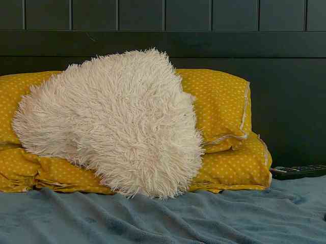 Lunna-Belle webcam
