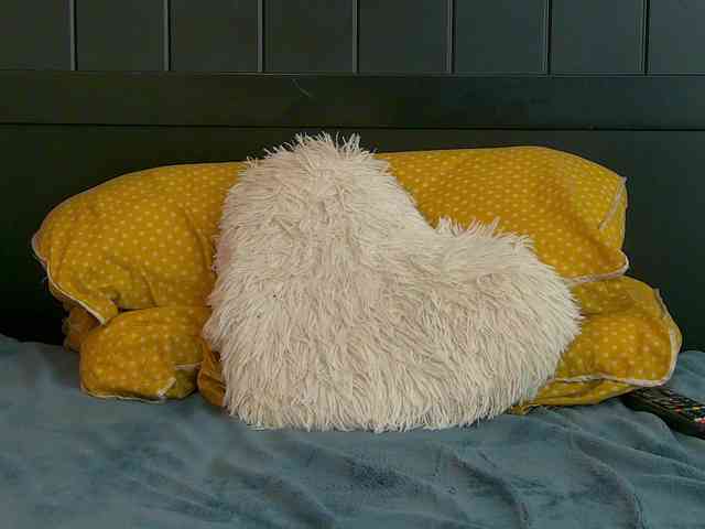Lunna-Belle webcam