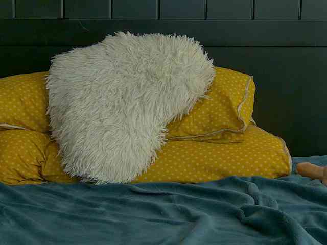 Lunna-Belle webcam
