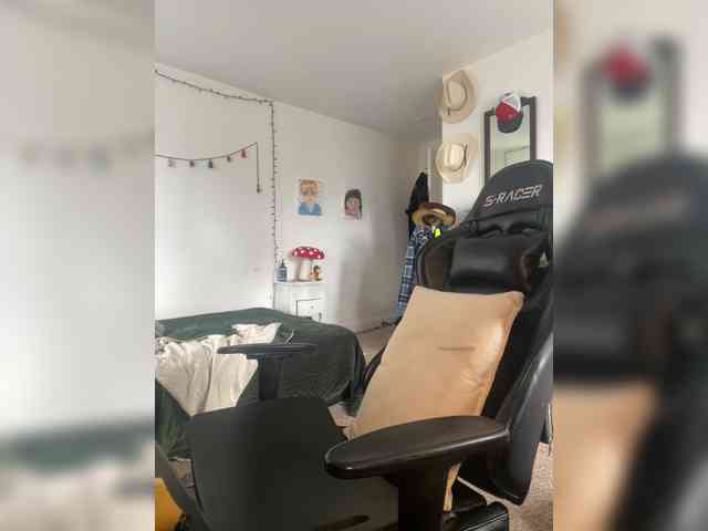 Kittybangbang webcam