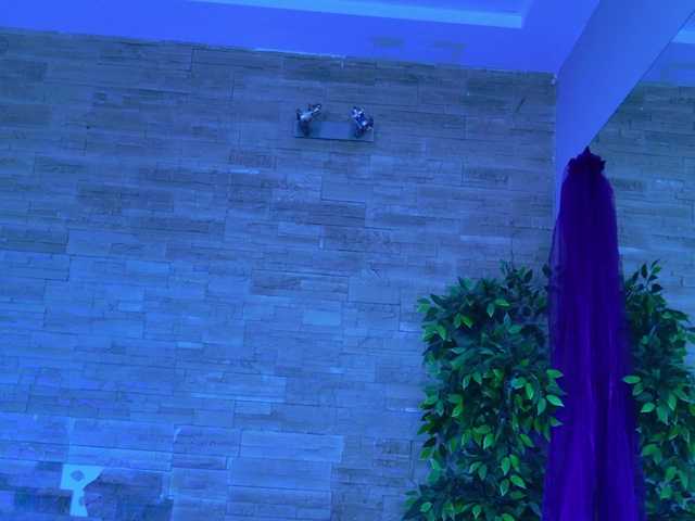 CassyFoxyy live webcam show