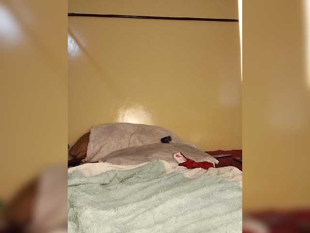 COUGAR-AND-CUB live cam on BongaCams