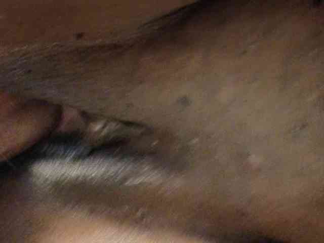 COUGAR-AND-CUB webcam