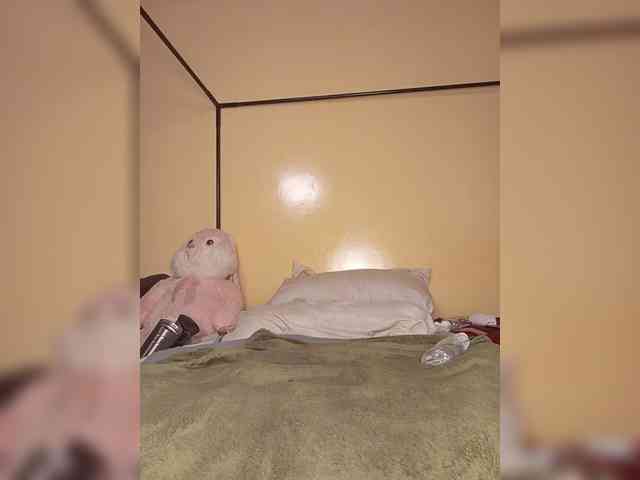 COUGAR-AND-CUB webcam