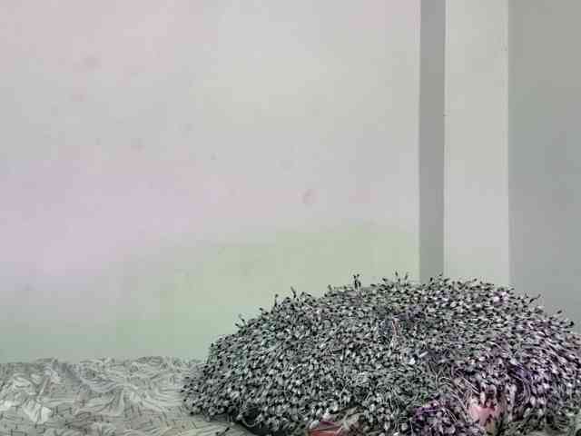 candyhott9a