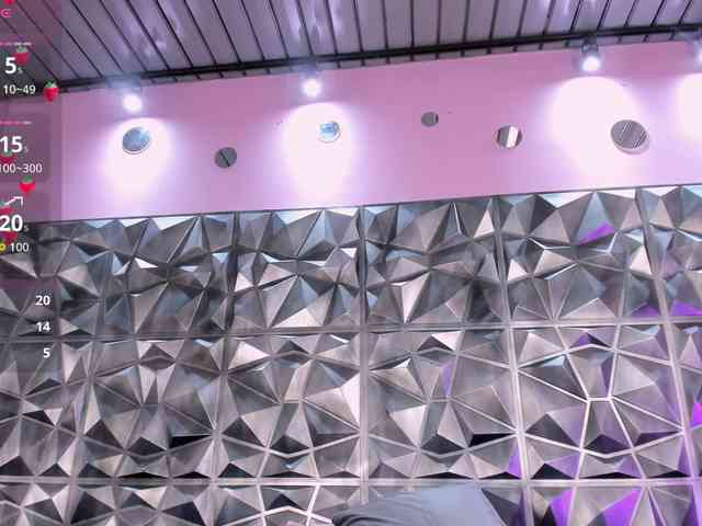 SamiraSilva webcam