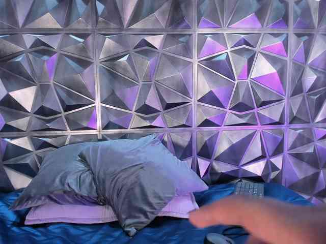 SamiraSilva webcam