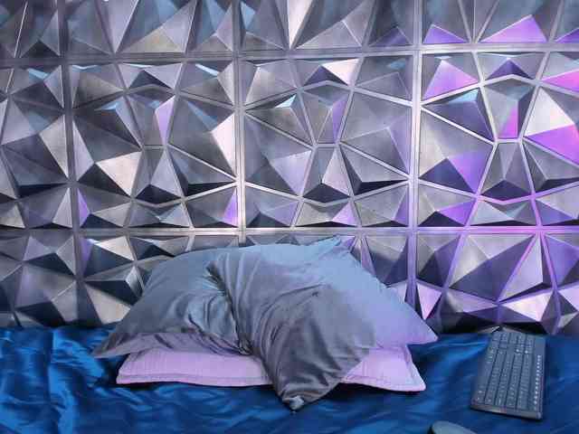 SamiraSilva webcam