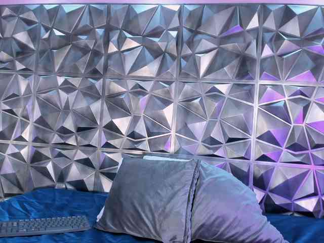 SamiraSilva webcam