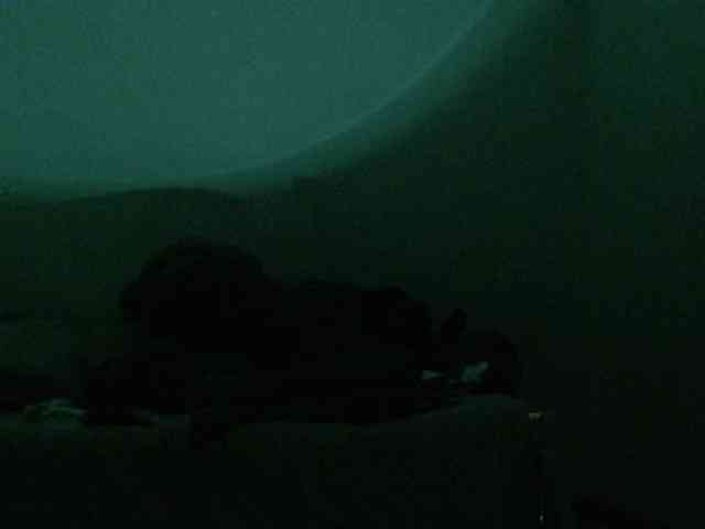 Keylafisher webcam