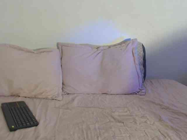 Keylafisher webcam