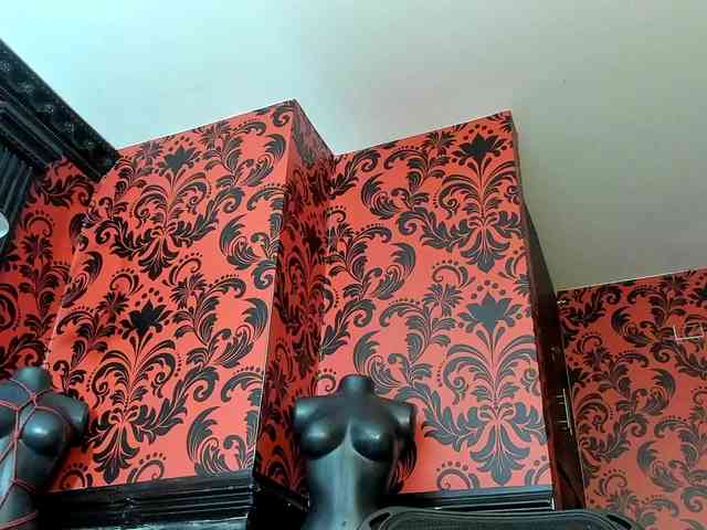 MissKathyFox webcam