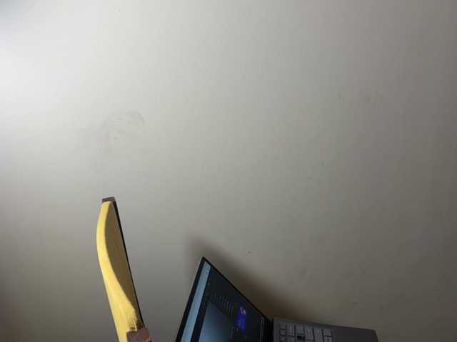 AliceElfy live webcam show