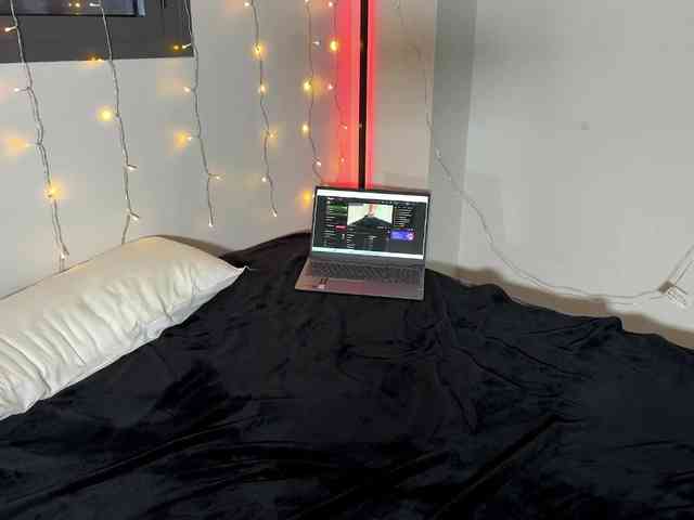 AliceElfy webcam