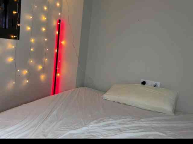 AliceElfy webcam