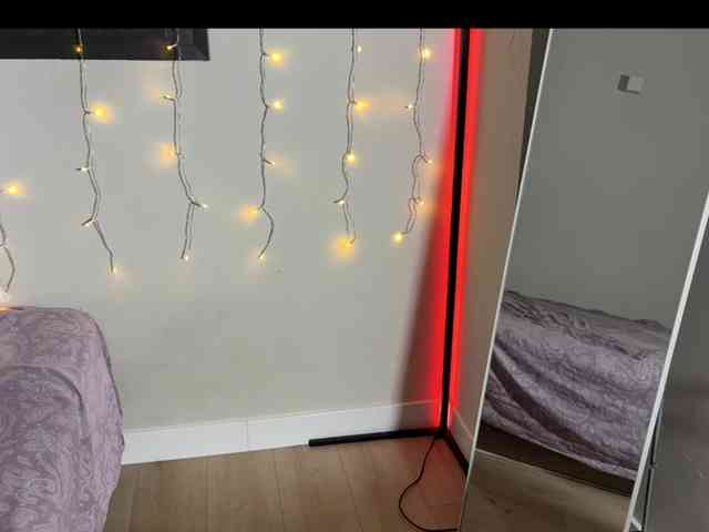 AliceElfy webcam