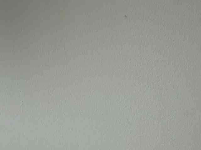AliceElfy webcam