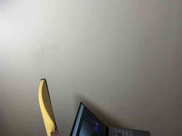 AliceElfy webcam