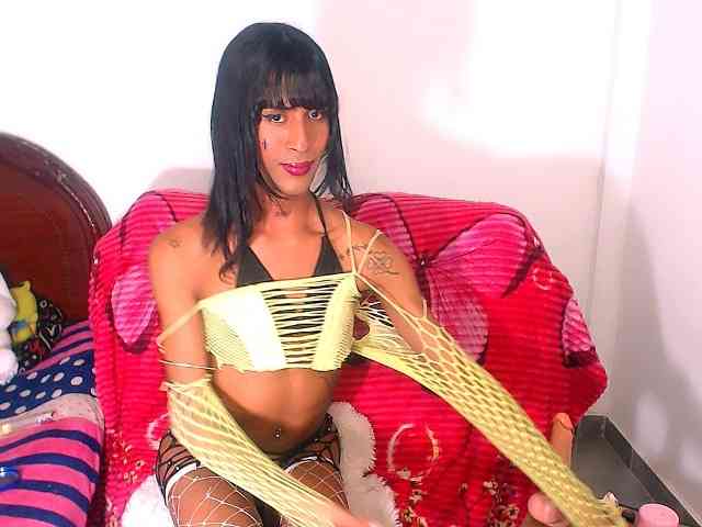 sheletcooni